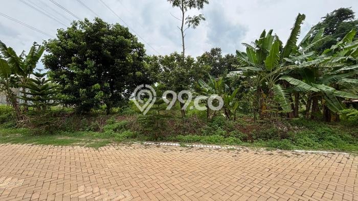 Lahan Investasi Lokasi Mijen Semarang SHM Lahan Investasi Lokasi Mijen Semarang SHM