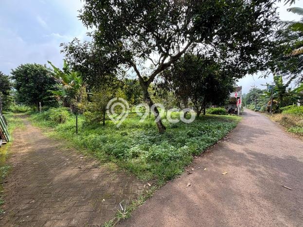 Lahan Dijual Lokasi Mijen, Semarang dengan Luas Tanah 201m2 dan Status SHM Lahan Dijual Lokasi Mijen, Semarang dengan Luas Tanah 201m2 dan Status SHM