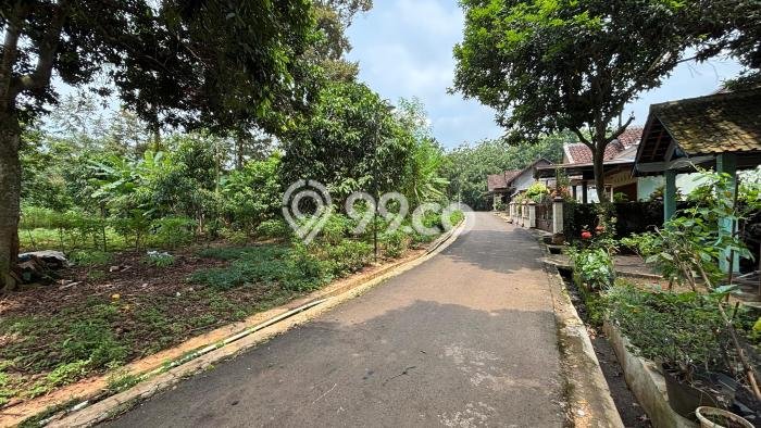 Tanah Dijual Lokasi Mijen, Semarang Luas 1605m2 Legalitas Aman Tanah Dijual Lokasi Mijen, Semarang Luas 1605m2 Legalitas Aman