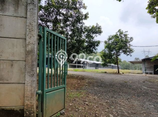 Tanah Kavling di Mijen Dijual dengan Luas 2000m2 Tanah Kavling di Mijen Dijual dengan Luas 2000m2
