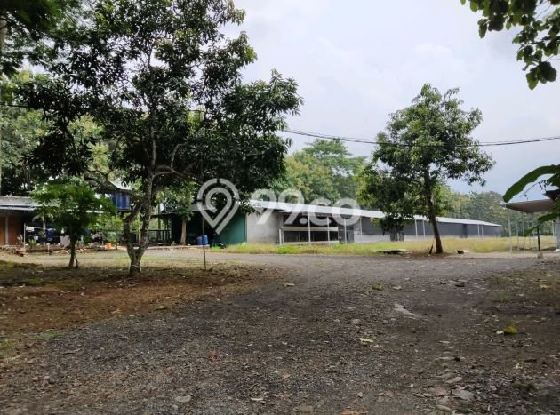 Tanah Kavling di Mijen Dijual dengan Luas 2000m2 Tanah Kavling di Mijen Dijual dengan Luas 2000m2