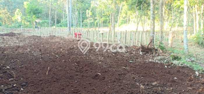 Tanah Kavling di Mijen Dijual dengan Luas 2000m2 Tanah Kavling di Mijen Dijual dengan Luas 2000m2