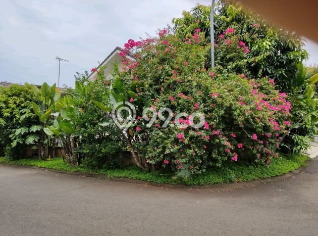 Rumah LT 299m2m² di , Semarang - Akses Mudah Rumah LT 299m2m² di , Semarang - Akses Mudah