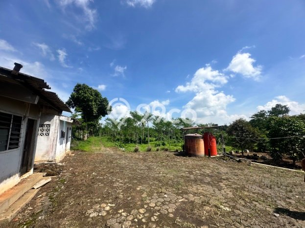 Lahan Kosong Dijual di Semarang dengan Area 20000m2 Lahan Kosong Dijual di Semarang dengan Area 20000m2