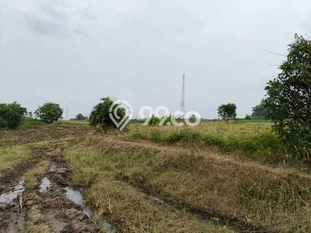 Lahan Dijual Lokasi Pacet, Mojokerto dengan Luas Tanah 128000m2 dan Status SHM Lahan Dijual Lokasi Pacet, Mojokerto dengan Luas Tanah 128000m2 dan Status SHM