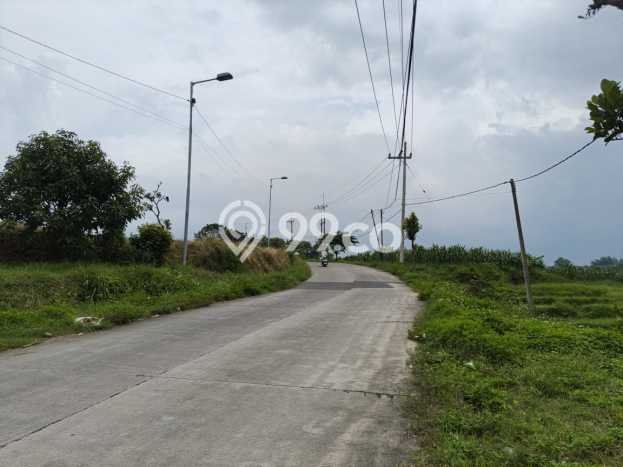 Lahan Dijual Lokasi Pacet, Mojokerto dengan Luas Tanah 128000m2 dan Status SHM Lahan Dijual Lokasi Pacet, Mojokerto dengan Luas Tanah 128000m2 dan Status SHM