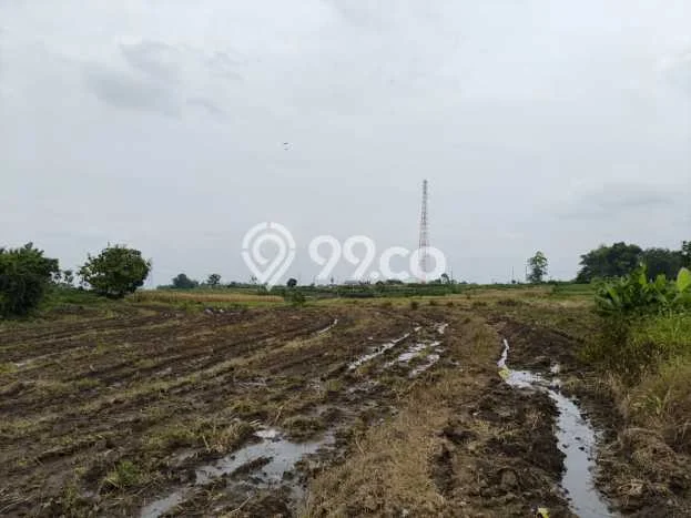 Lahan Dijual Lokasi Pacet, Mojokerto dengan Luas Tanah 128000m2 dan Status SHM Lahan Dijual Lokasi Pacet, Mojokerto dengan Luas Tanah 128000m2 dan Status SHM