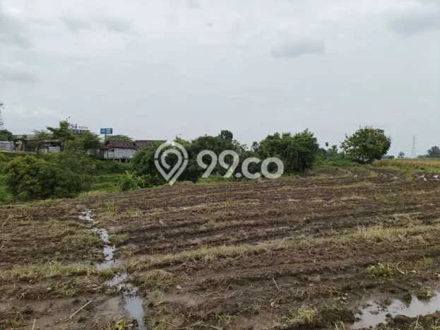 Lahan Dijual Lokasi Pacet, Mojokerto dengan Luas Tanah 128000m2 dan Status SHM Lahan Dijual Lokasi Pacet, Mojokerto dengan Luas Tanah 128000m2 dan Status SHM