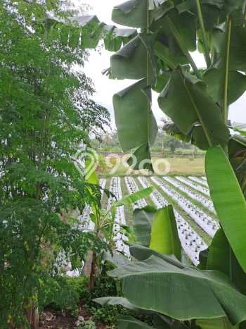 Tanah Dijual Lokasi Gianyar Gianyar SHM Tanah Dijual Lokasi Gianyar Gianyar SHM