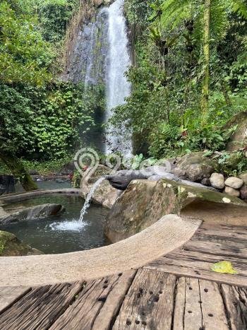 Tanah Kavling untuk Dijual di Tabanan Tabanan 11000m2 Tanah Kavling untuk Dijual di Tabanan Tabanan 11000m2