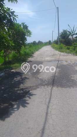 Tanah Dijual Lokasi Gianyar Gianyar SHM Tanah Dijual Lokasi Gianyar Gianyar SHM