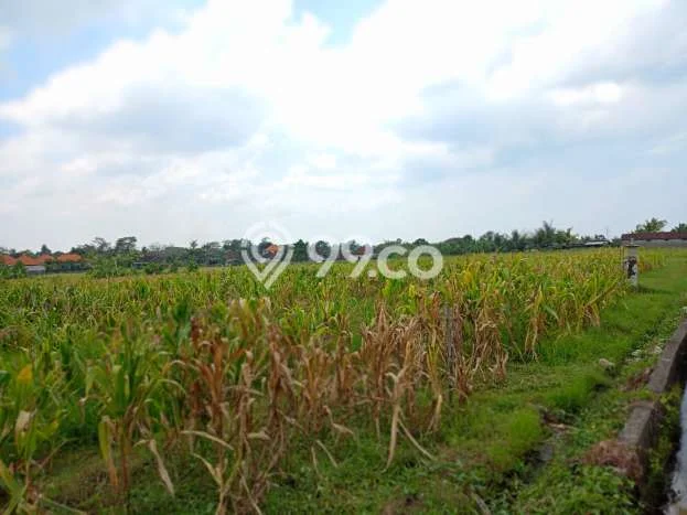 Tanah Komersial Dijual di Tabanan Tabanan 1500m2 Tanah Komersial Dijual di Tabanan Tabanan 1500m2
