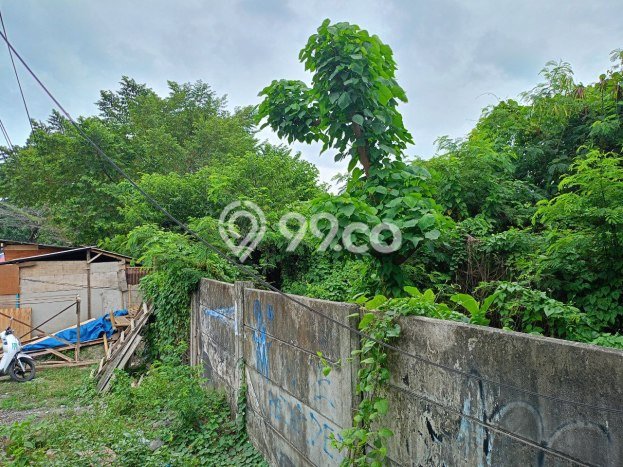 Kavling Tanah Dijual di Denpasar Barat, Denpasar, Luas 5700m2 Area Strategis Kavling Tanah Dijual di Denpasar Barat, Denpasar, Luas 5700m2 Area Strategis