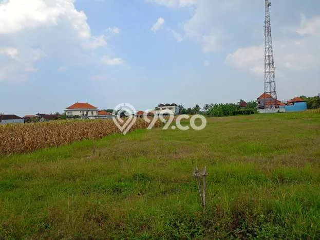 Tanah Komersial Dijual di Tabanan Tabanan 1500m2 Tanah Komersial Dijual di Tabanan Tabanan 1500m2