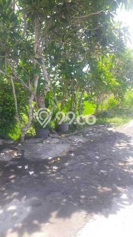 Tanah Dijual Lokasi Gianyar Gianyar SHM Tanah Dijual Lokasi Gianyar Gianyar SHM