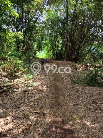 Kavling Tanah Disewakan di Kerambitan Tabanan Luas 2700m2 Strategis Kavling Tanah Disewakan di Kerambitan Tabanan Luas 2700m2 Strategis
