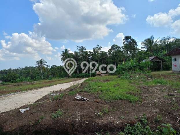 Tanah untuk Dijual di Tabanan Tabanan Luas 16000m2 Tanah untuk Dijual di Tabanan Tabanan Luas 16000m2