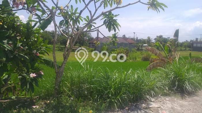 Tanah Dijual Lokasi Gianyar Gianyar SHM Tanah Dijual Lokasi Gianyar Gianyar SHM