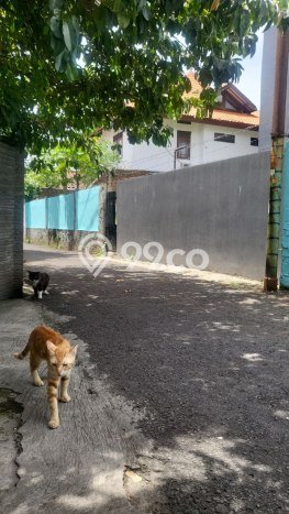 Jarang Ada! Tanah di Pancoran Punya Luas 175m2 SHM Jarang Ada! Tanah di Pancoran Punya Luas 175m2 SHM