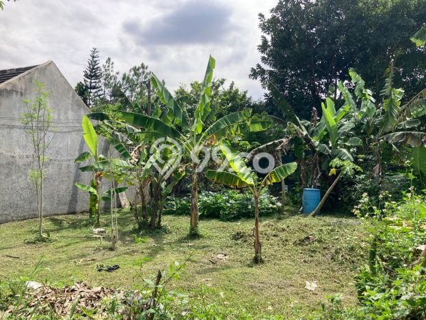 Dijual Tanah Lokasi Soekarno Hatta, Bandung Seluas 261m2 Dijual Tanah Lokasi Soekarno Hatta, Bandung Seluas 261m2