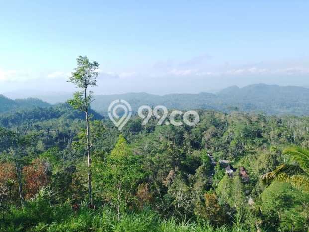 Jarang Ada! Tanah di Karangasem Punya Luas 4750m2 SHM Jarang Ada! Tanah di Karangasem Punya Luas 4750m2 SHM
