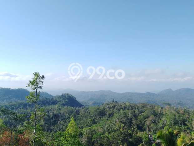 Jarang Ada! Tanah di Karangasem Punya Luas 4750m2 SHM Jarang Ada! Tanah di Karangasem Punya Luas 4750m2 SHM