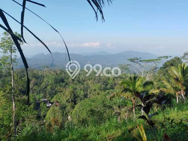 Jarang Ada! Tanah di Karangasem Punya Luas 4750m2 SHM Jarang Ada! Tanah di Karangasem Punya Luas 4750m2 SHM