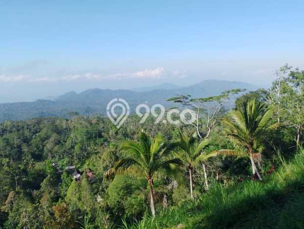 Jarang Ada! Tanah di Karangasem Punya Luas 4750m2 SHM Jarang Ada! Tanah di Karangasem Punya Luas 4750m2 SHM