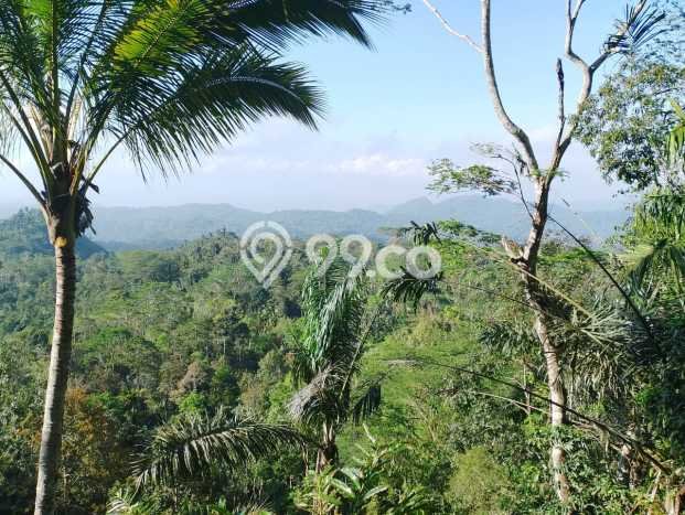Jarang Ada! Tanah di Karangasem Punya Luas 4750m2 SHM Jarang Ada! Tanah di Karangasem Punya Luas 4750m2 SHM