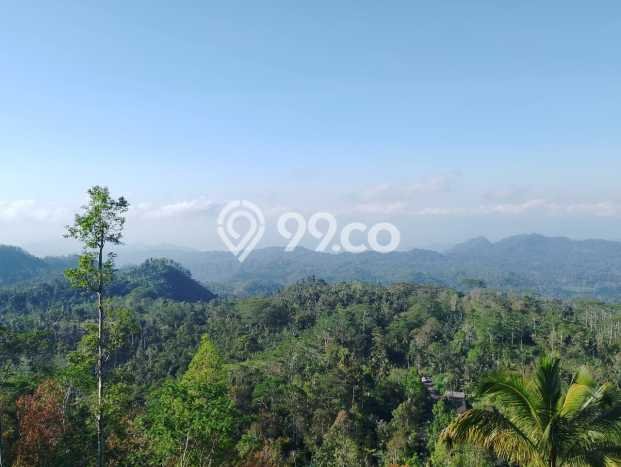 Jarang Ada! Tanah di Karangasem Punya Luas 4750m2 SHM Jarang Ada! Tanah di Karangasem Punya Luas 4750m2 SHM