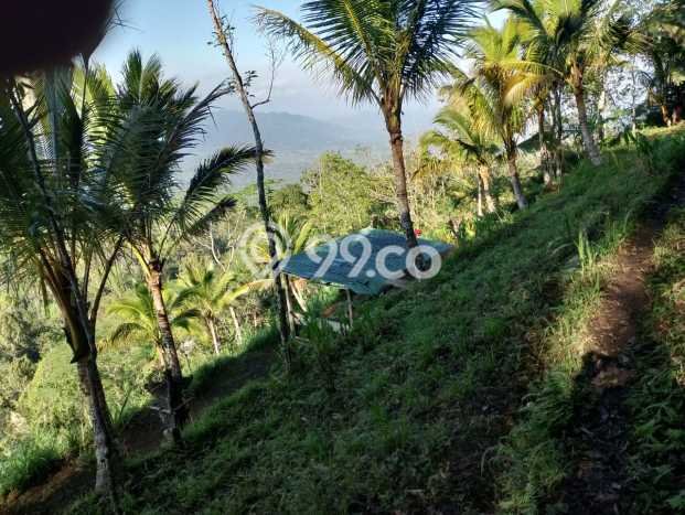 Jarang Ada! Tanah di Karangasem Punya Luas 4750m2 SHM Jarang Ada! Tanah di Karangasem Punya Luas 4750m2 SHM