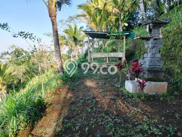Jarang Ada! Tanah di Karangasem Punya Luas 4750m2 SHM Jarang Ada! Tanah di Karangasem Punya Luas 4750m2 SHM