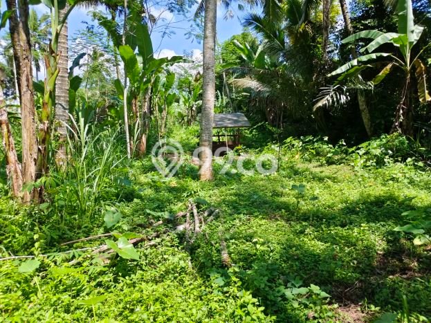 Tanah Kawasan Tegallalang, Luas 4500m2m², Lokasi Strategis, Lingkungan Asri, Bebas Banjir Tanah Kawasan Tegallalang, Luas 4500m2m², Lokasi Strategis, Lingkungan Asri, Bebas Banjir