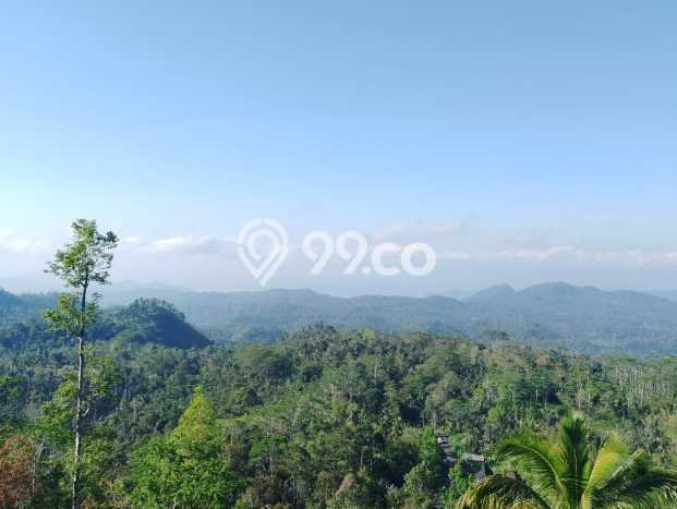 Jarang Ada! Tanah di Karangasem Punya Luas 4750m2 SHM Jarang Ada! Tanah di Karangasem Punya Luas 4750m2 SHM