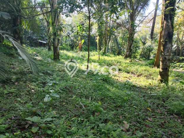 Jarang Ada! Tanah di Karangasem Punya Luas 4750m2 SHM Jarang Ada! Tanah di Karangasem Punya Luas 4750m2 SHM