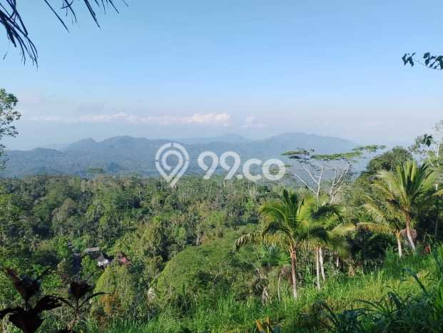 Jarang Ada! Tanah di Karangasem Punya Luas 4750m2 SHM Jarang Ada! Tanah di Karangasem Punya Luas 4750m2 SHM