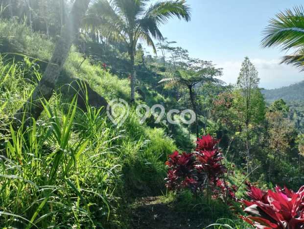 Jarang Ada! Tanah di Karangasem Punya Luas 4750m2 SHM Jarang Ada! Tanah di Karangasem Punya Luas 4750m2 SHM