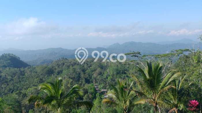 Jarang Ada! Tanah di Karangasem Punya Luas 4750m2 SHM Jarang Ada! Tanah di Karangasem Punya Luas 4750m2 SHM