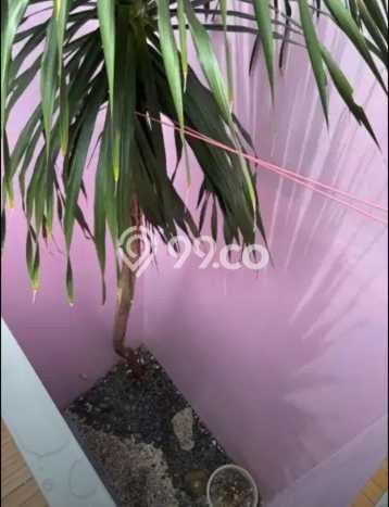 Jual Rumah Strategis Bagus Punya 4 KT di Kebon Jeruk Jakarta Barat SHM Jual Rumah Strategis Bagus Punya 4 KT di Kebon Jeruk Jakarta Barat SHM
