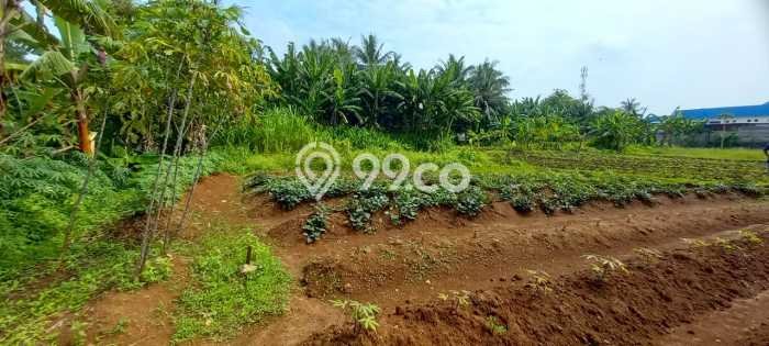 Tanah untuk Dijual di Balaraja Tangerang Luas 1954m2 Tanah untuk Dijual di Balaraja Tangerang Luas 1954m2
