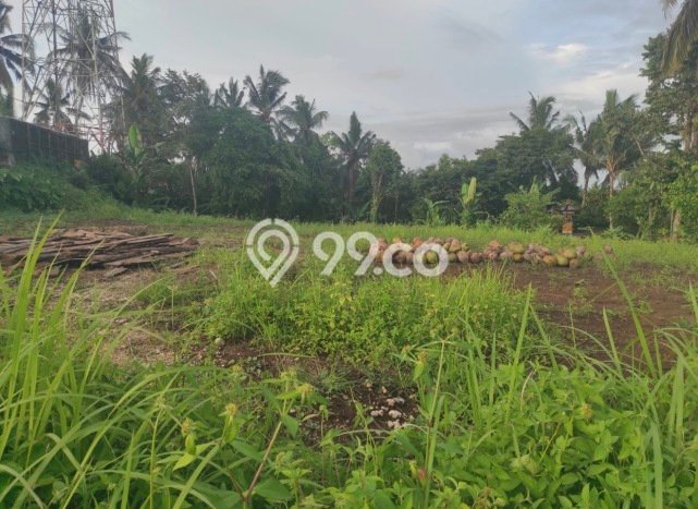 Kavling Tanah Dijual di Tabanan Tabanan Spesifikasi 1700m2 Kavling Tanah Dijual di Tabanan Tabanan Spesifikasi 1700m2
