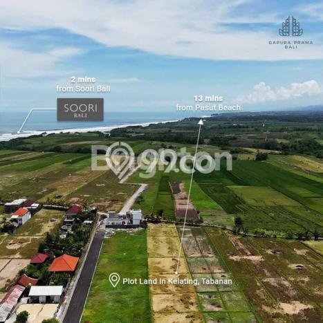 Tanah Dijual Lokasi Strategis di Tabanan dengan Luas 1975m2 Tanah Dijual Lokasi Strategis di Tabanan dengan Luas 1975m2