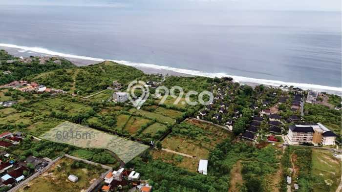 Untuk Dijual Tanah di Badung, Luas 6015m2 SHM Untuk Dijual Tanah di Badung, Luas 6015m2 SHM