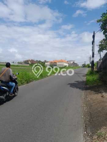 Untuk Dijual Tanah di Tabanan, Luas 2400m2 SHM Untuk Dijual Tanah di Tabanan, Luas 2400m2 SHM