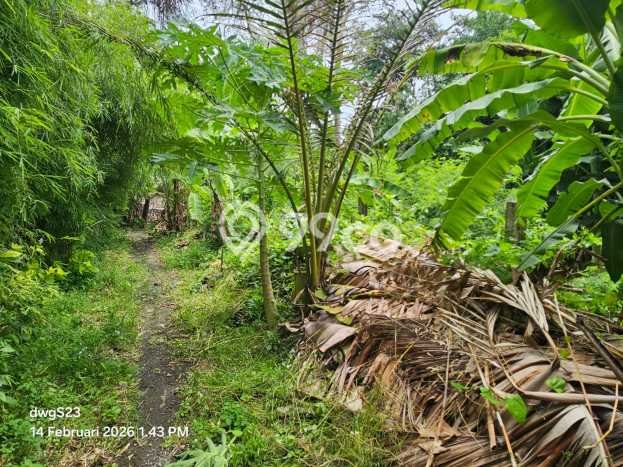Tanah Kavling Dijual di Badung dengan Spesifikasi 865m2 Tanah Kavling Dijual di Badung dengan Spesifikasi 865m2