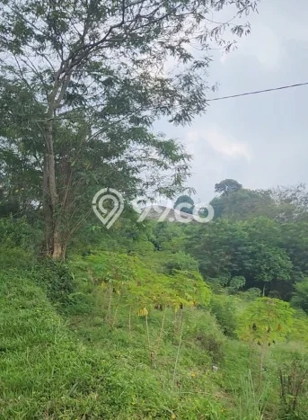 Tanah Dijual Lokasi Megamendung, Bogor dengan Luas Tanah 370000m2 dan Status SHM Tanah Dijual Lokasi Megamendung, Bogor dengan Luas Tanah 370000m2 dan Status SHM