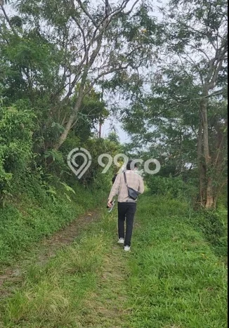 Tanah Dijual Lokasi Megamendung, Bogor dengan Luas Tanah 370000m2 dan Status SHM Tanah Dijual Lokasi Megamendung, Bogor dengan Luas Tanah 370000m2 dan Status SHM