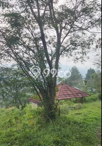 Tanah Dijual Lokasi Megamendung, Bogor dengan Luas Tanah 370000m2 dan Status SHM Tanah Dijual Lokasi Megamendung, Bogor dengan Luas Tanah 370000m2 dan Status SHM