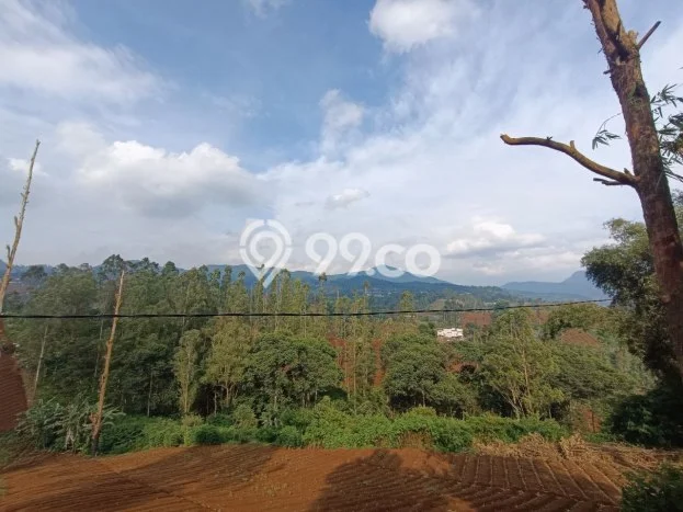 Tanah Kosong Dijual di Bandung dengan Area 5000m2 Tanah Kosong Dijual di Bandung dengan Area 5000m2