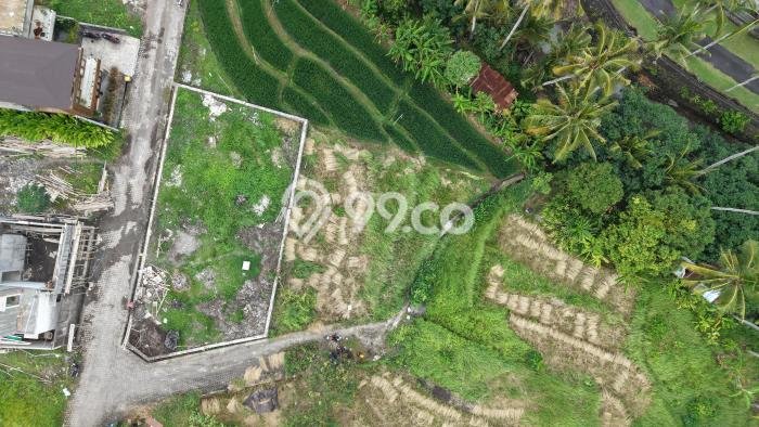 Tanah Dijual Lokasi Strategis di Badung dengan Luas 327m2 Tanah Dijual Lokasi Strategis di Badung dengan Luas 327m2